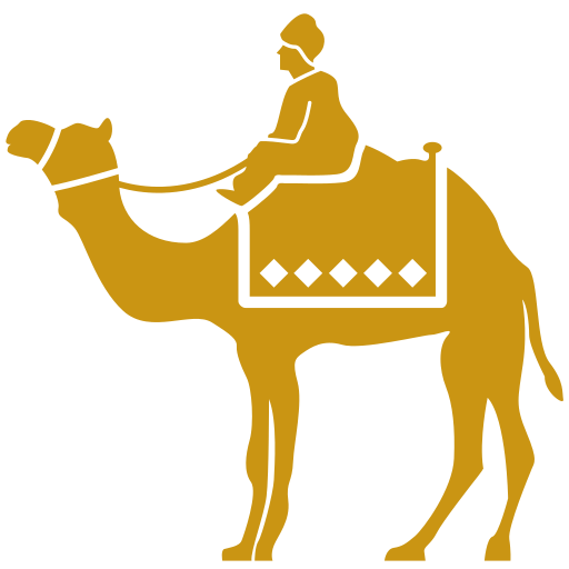 Camel Safari