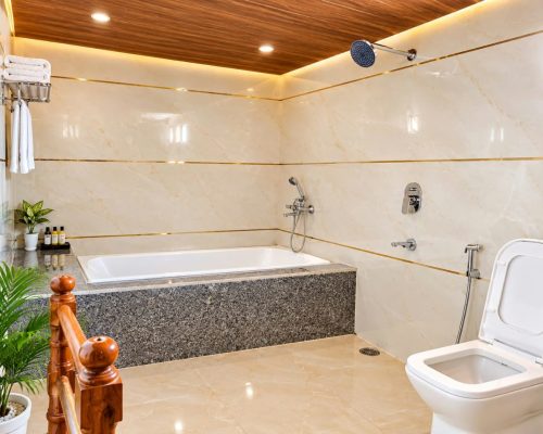 Royal Maharaja Tent With Bathtub (4)