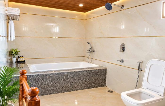 Royal Maharaja Tent With Bathtub (4)